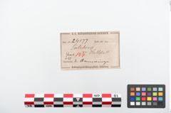 Etiketten zu Bronzearmreif (NHMW-PRAE-024177)